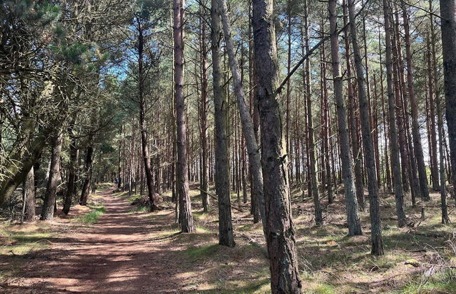 6 Person Holiday Home in Thyholm-by Traum - Photo 7