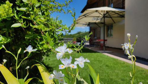 Bio Agritur al Bait - Foto 4, Garden