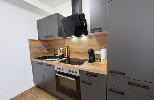 Apartmenthaus Alte Scheune Gunzenhausen - Foto 8