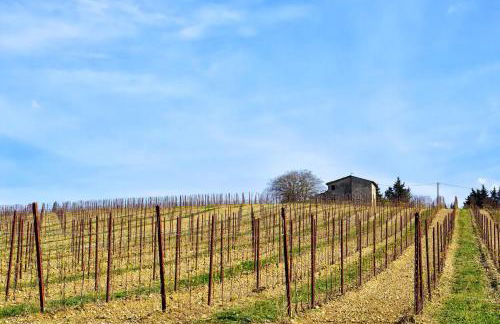 Appartamenti Tortorella - Foto 51