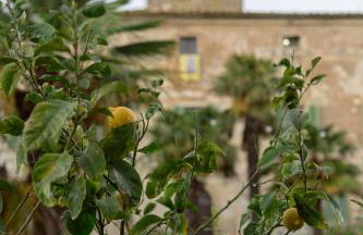 Borgo Belsedere - biofarm estate resort in Tuscany - Foto 28