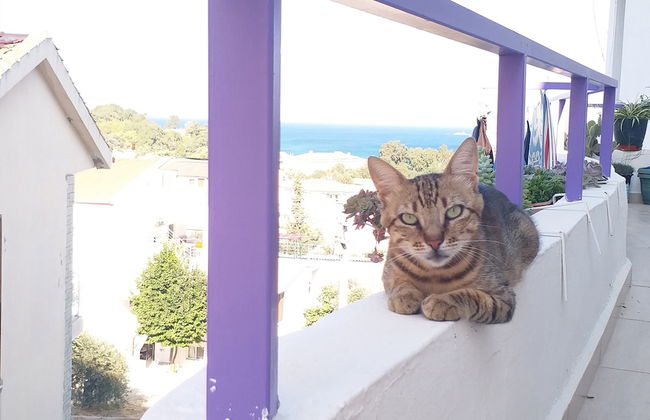 Ertem Apart - Photo 55