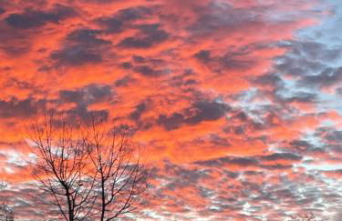 Aura Rural, Montes de Toledo - Foto 17