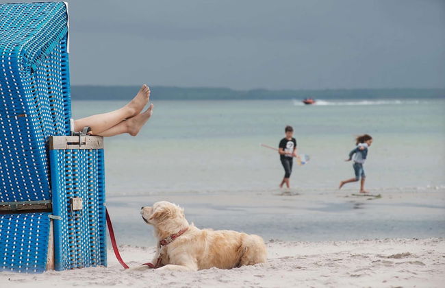 Reihenhaus im Ostseeresort Dampland - Foto 73