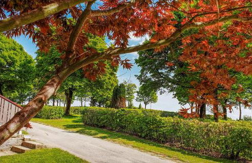 Wildkraeuterweg 14 - Foto 6