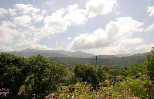 Tawel Fryn Bungalow near Dolgellau - Foto 49