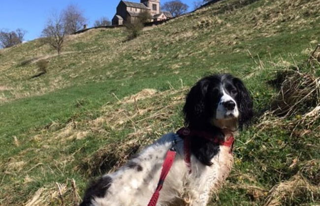 Stunning Lake District Cottage - Photo 19