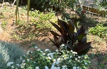 Les Amandiers - Foto 32