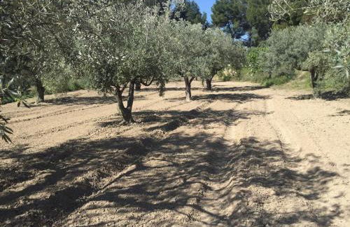 Casa Molera - Foto 32