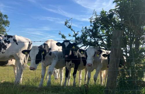 Enchmarsh Farm Byre - Foto 14