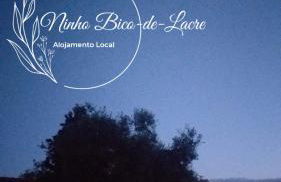 Ninho Bico-de-Lacre ~ o paraíso é a/na Terra - Foto 32