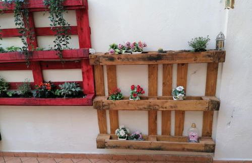 Nest of love - Foto 11