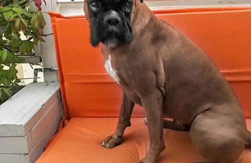 La Casa di Pamy - Foto 72