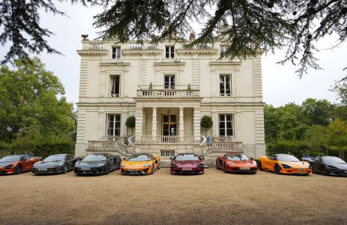 Château du Loroux - Photo 3