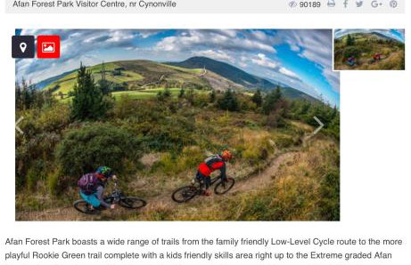 Herbert Place - Foto 58