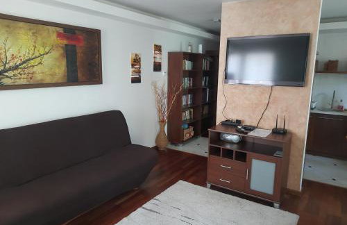 APARTAMENT LUCYNA - Foto 15