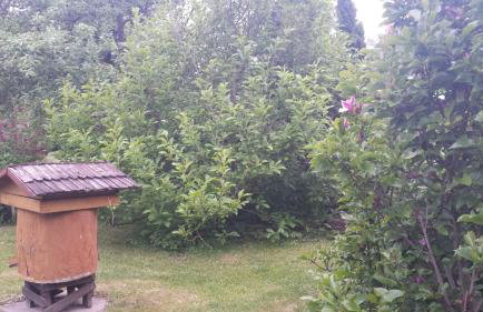 Kwiatowa Zagroda - Foto 24