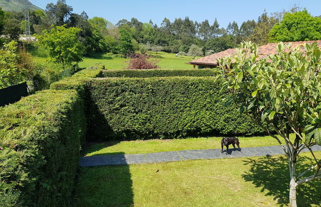 Mirando Al Cuera - Photo 27