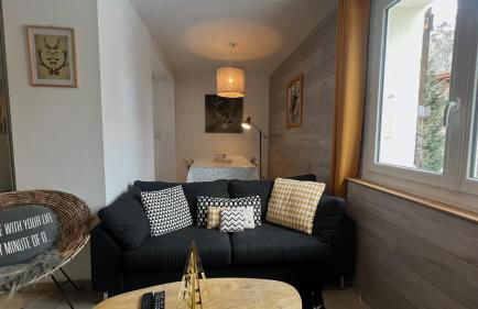 Jaune Génépi - 4 personnes - 49m2 et 17m2 terrasse - Foto 3