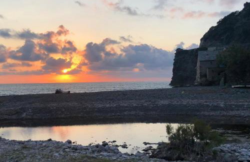 Cap Corse - Grande maison au bord de mer - PMR - Foto 18