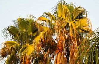Casa Estelle - cozy with lovely garden I Mijas I Marbella - Foto 34