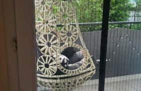 Home Sweet Home - Foto 26