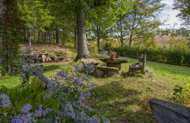 I 3 Faggi - Photo 61