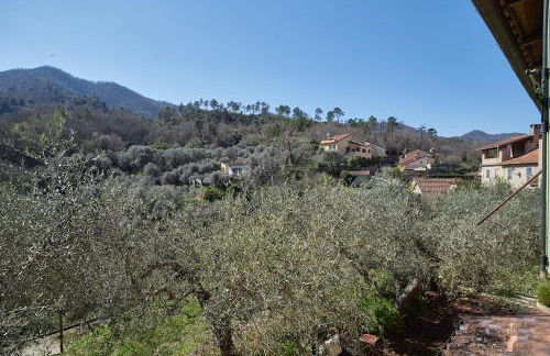 The Grapefruit House - Villa con Piscina - Foto 97