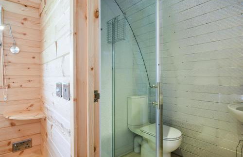 Barcud Coch - Uk44539 - Foto 10