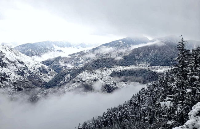 Vansh Green View Homestay - Foto 16