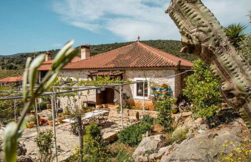 PONTINOS OLD HOUSE - Photo 25