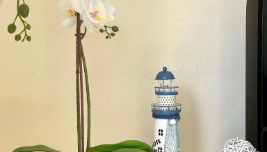 Two-bedroom apartment with two large terraces - Foto 3