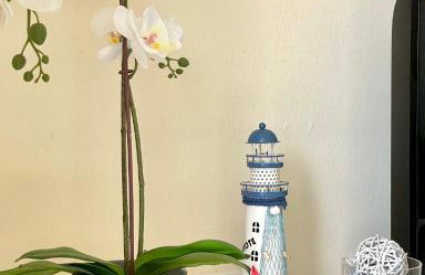 Two-bedroom apartment with two large terraces - Foto 3