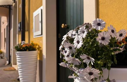 GM Apartment - Foto 6