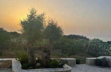 Tzanetos Pelagos - Foto 29