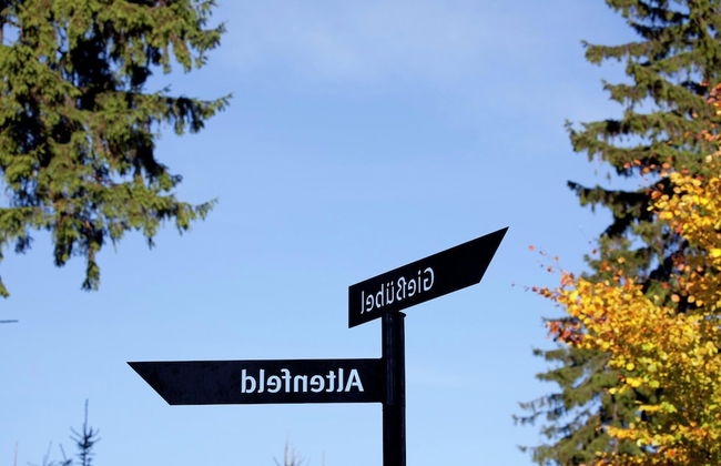 Family-friendly Forest Home - Foto 26