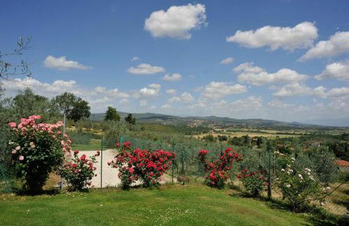 San Lorenzo - Foto 20