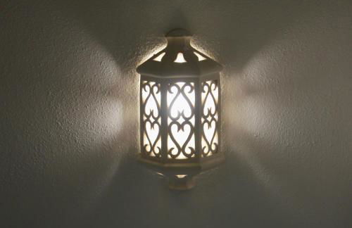 Peixe Agulha - Foto 12