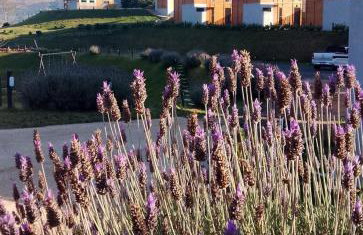 Condomínio das Lavandas - Foto 37