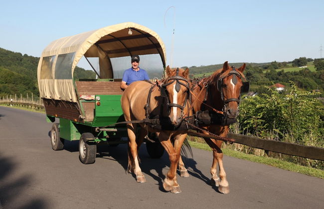 Villa With Bubble Bath, Solarium and Fireplace - Foto 21