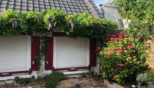 Little Home - Foto 4