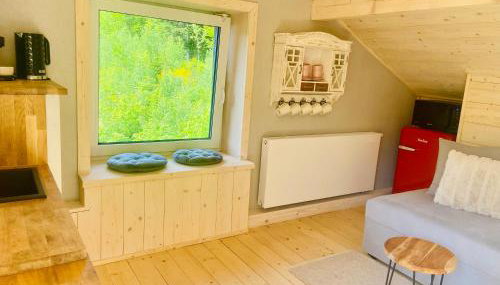 Apartament Widoknastok - Foto 5, minibar