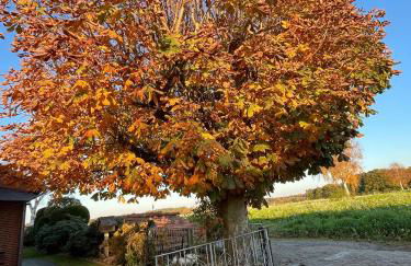 Ferienwohnung Naturpark Südheide im Retro-Style - Foto 15