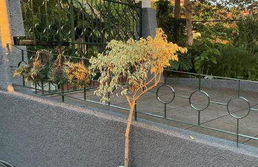 Casa Žerotín - Foto 29