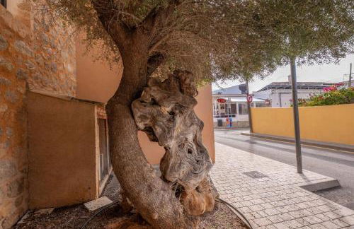 Brisa Marina - Photo 35