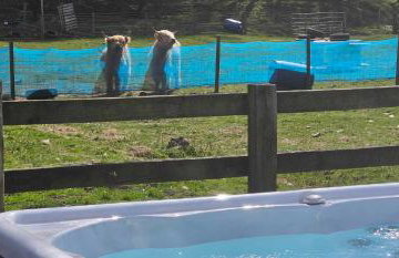 Glen Bay - 2 Bed Lodge on Friendly Farm Stay with Private Hot Tub - Foto 73