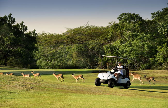 Kruger Park Lodge - Photo 22