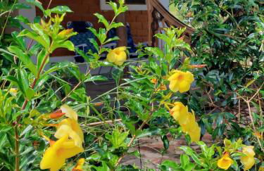 Refúgio no meio da natureza - Chalé Pé de Serra - Foto 22