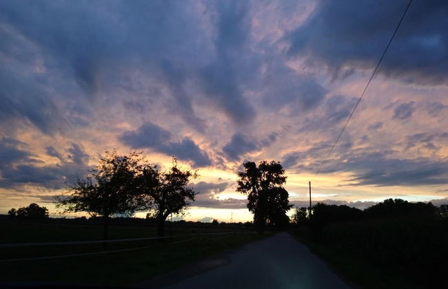 Ferienhof Fenzl - Foto 11