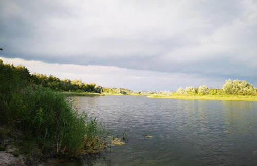 domki domek na jeziorem Wilczyńskim Budzisławskim , las, osobno ogrodzony 2-6 osób- klimatyzacja, ogrzewanie, 62-550 Zygmuntowo gm Wilczyn - Foto 9